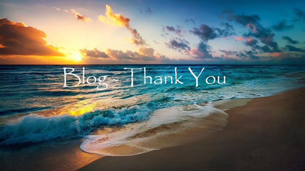 Blog thank you