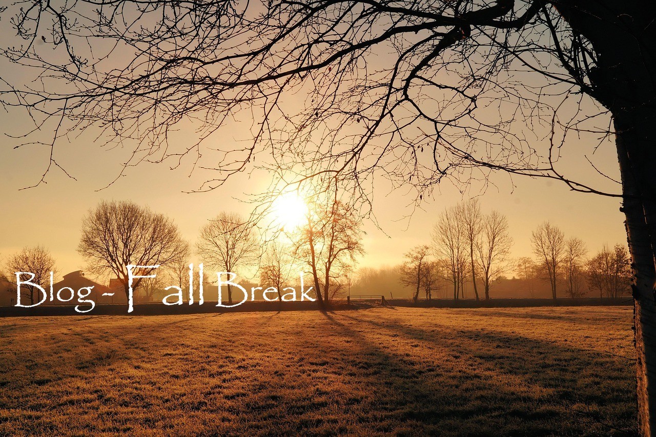 Fall Break